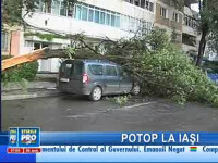 Vijelia a doborât copacii peste maşinile parcate